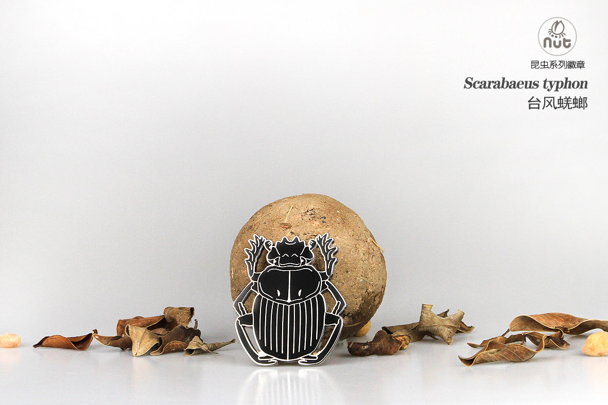 Insect Badge “Chinese Beetle Series Ⅱ”