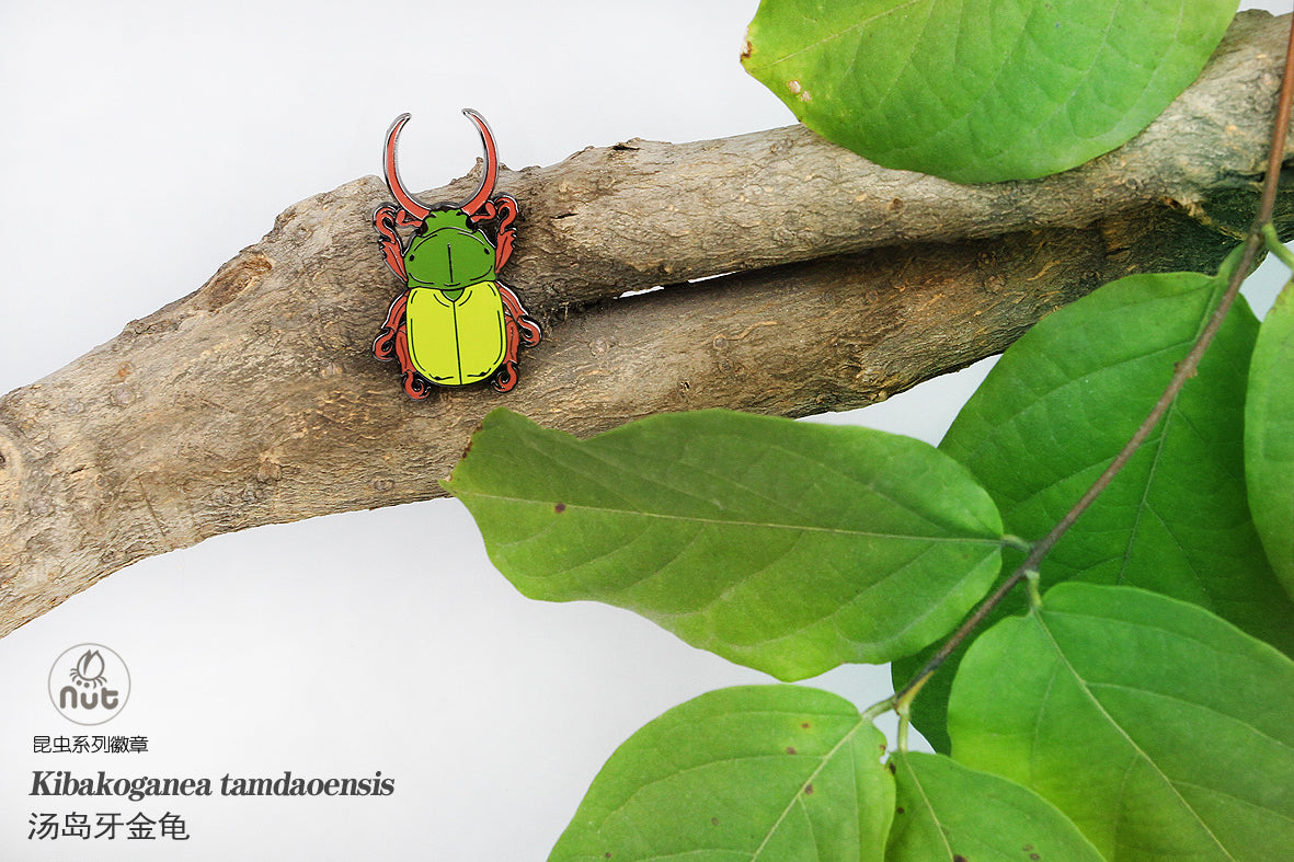 Insect Badge “Chinese Beetle Series Ⅱ”