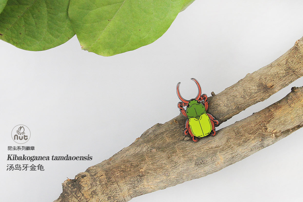 Insect Badge “Chinese Beetle Series Ⅱ”