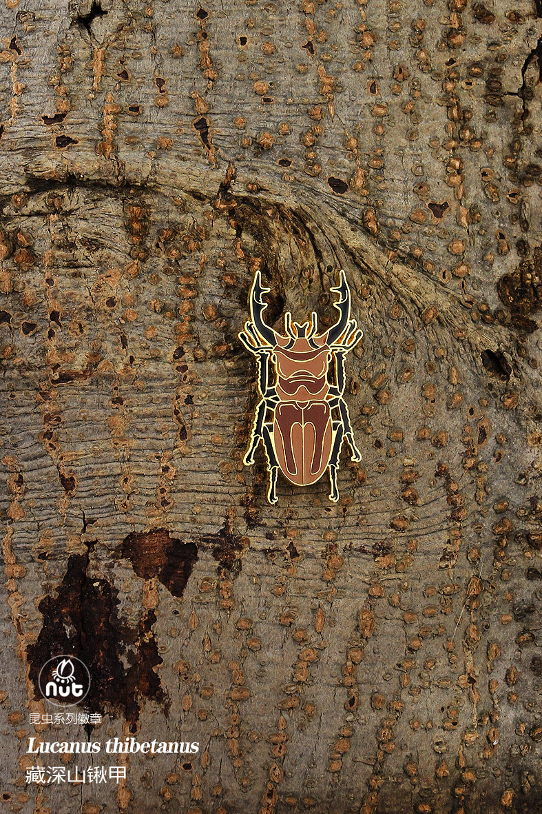 Insect Badge “Chinese Beetle Series Ⅱ”