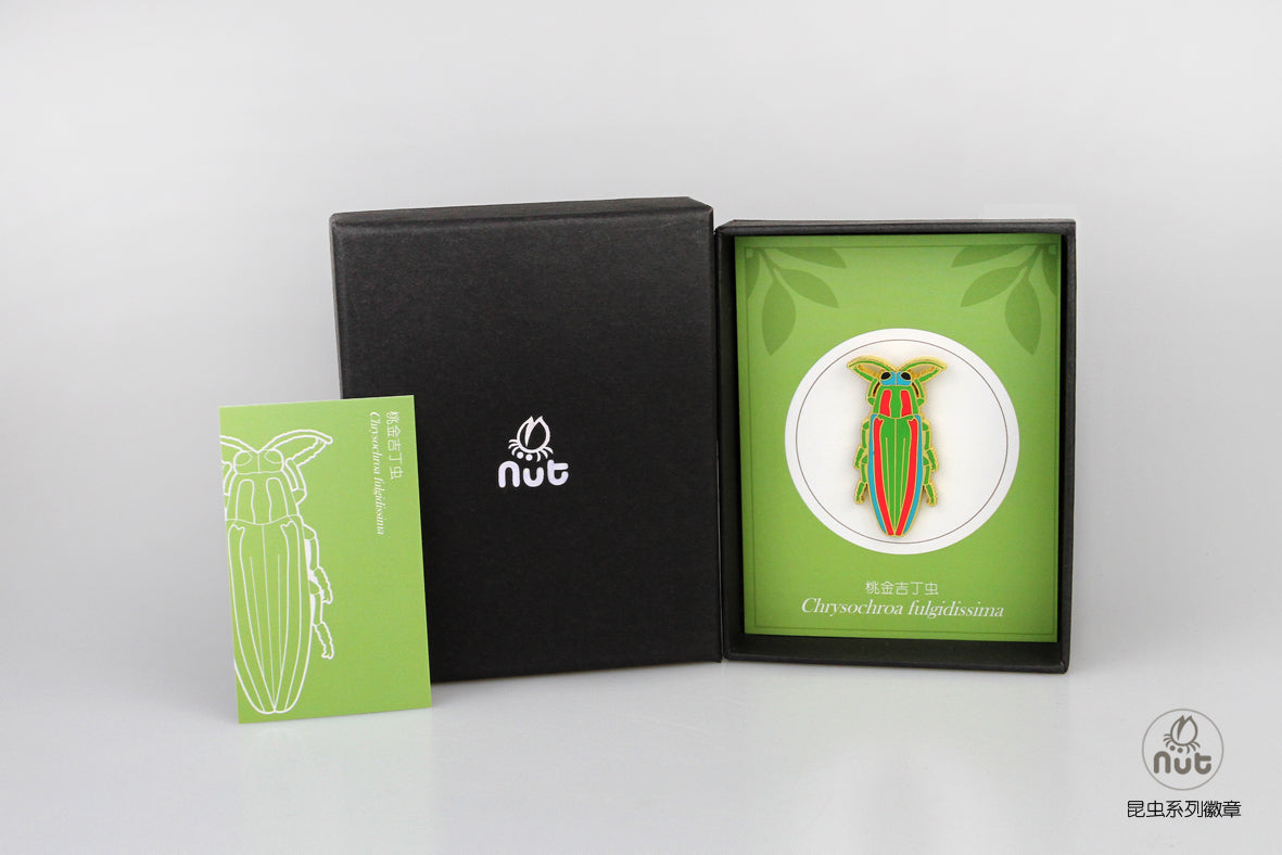 Insect Badge “Chinese Beetle Series Ⅱ”