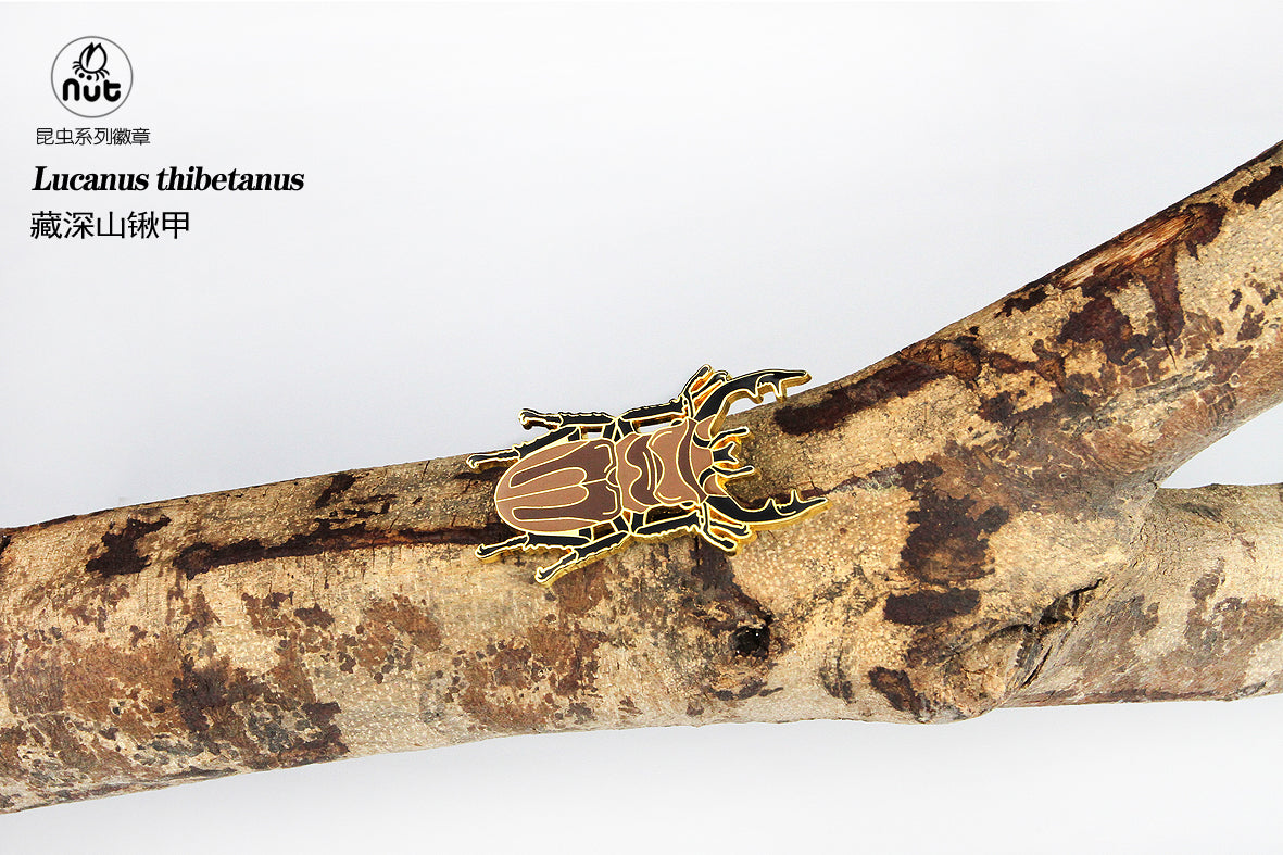 Insect Badge “Chinese Beetle Series Ⅱ”