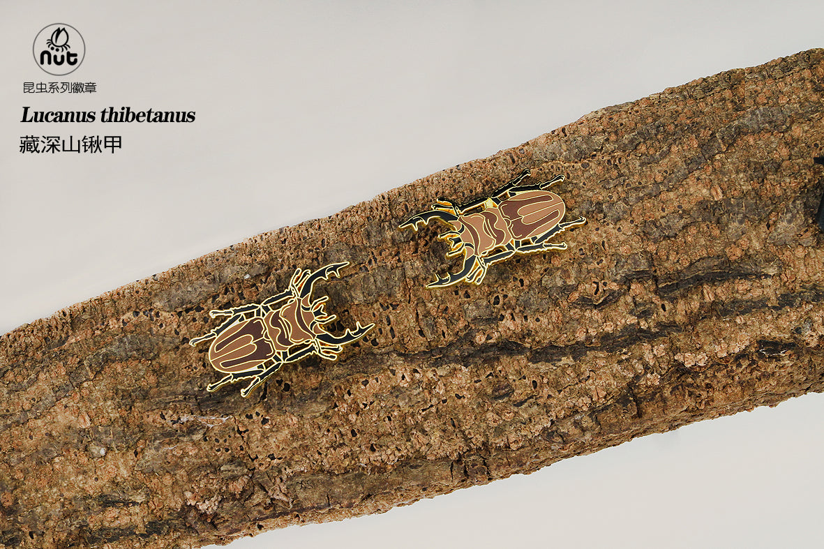 Insect Badge “Chinese Beetle Series Ⅱ”