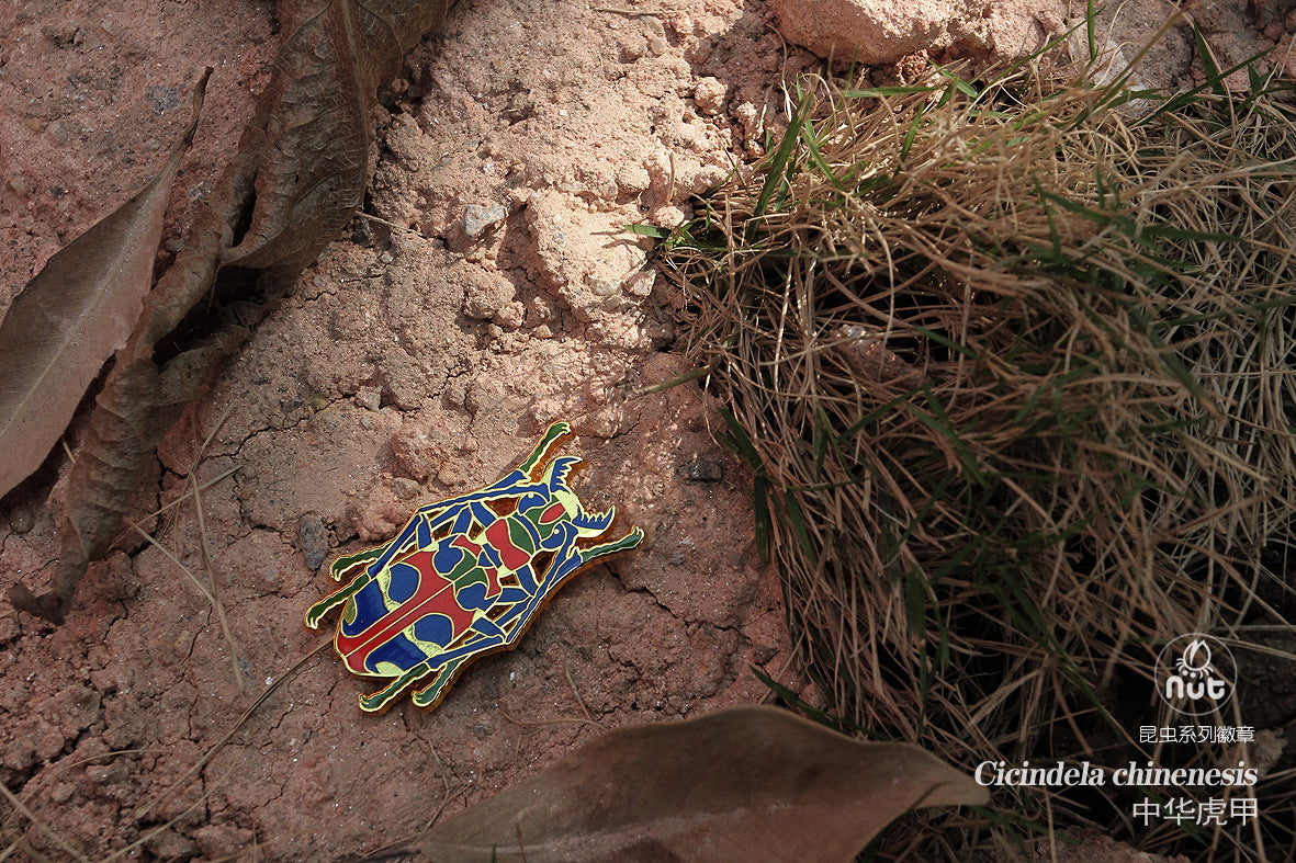 Insect Badge “Chinese Beetle Series Ⅱ”