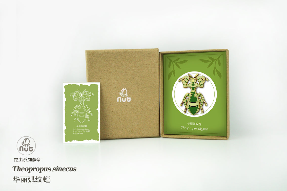 Insect Badge Theopropus elegans
