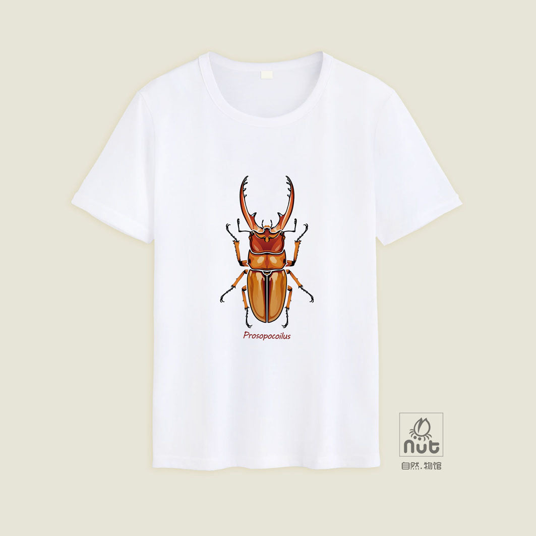 T-shirt Prosopocoilus astacoides