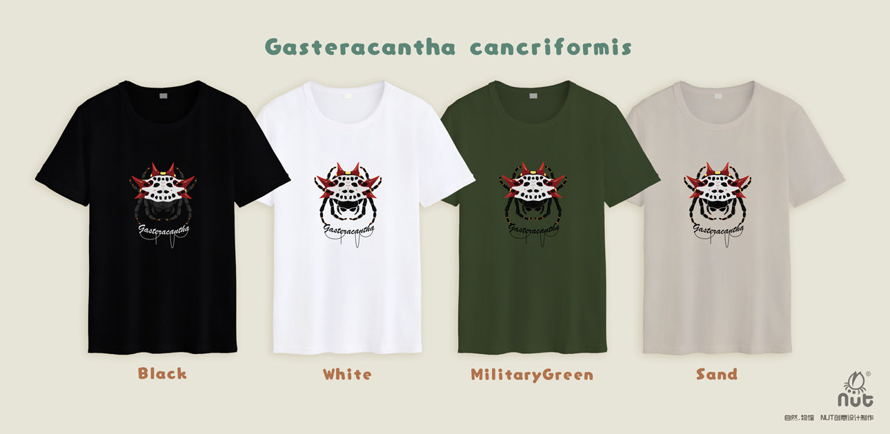 T-shirt Gasteracantha cancriformis