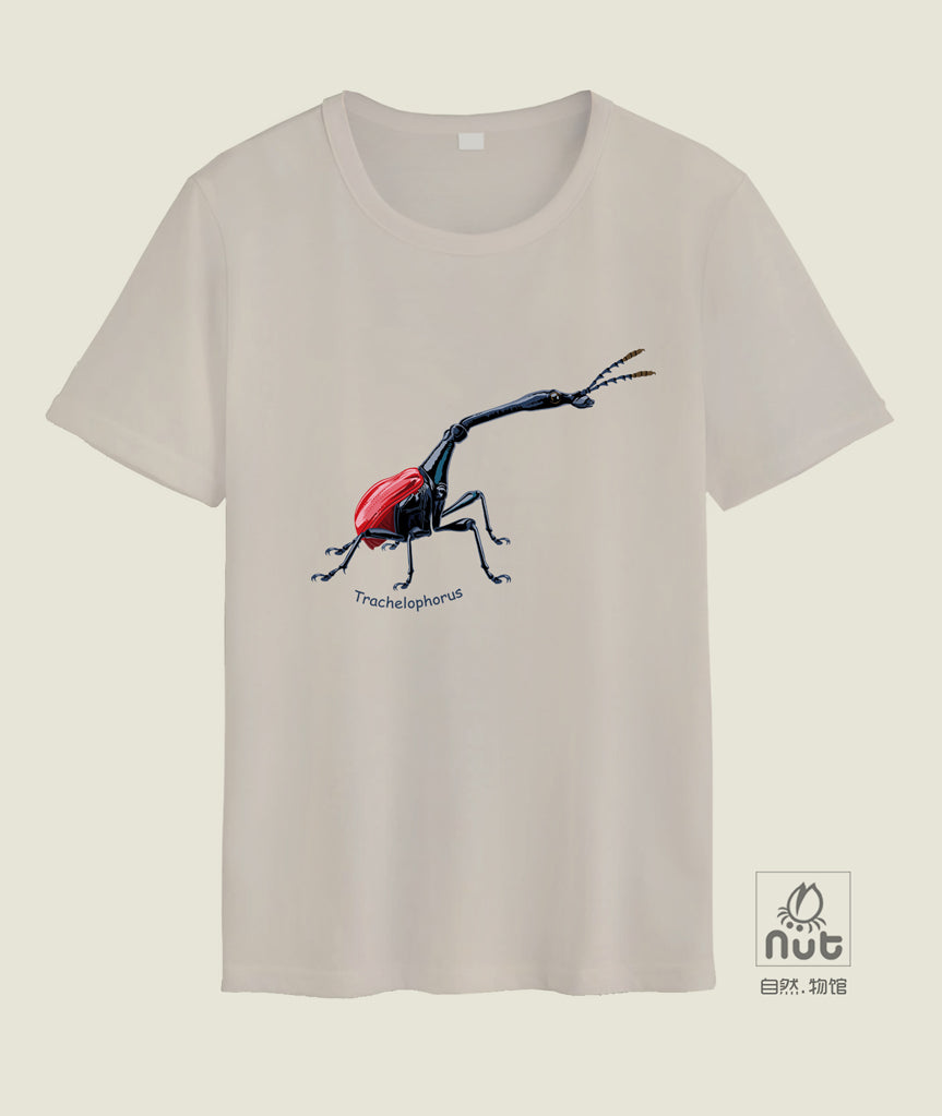 T-shirt Trachelophorus