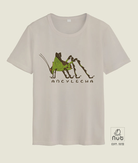 T-shirt Ancylecha