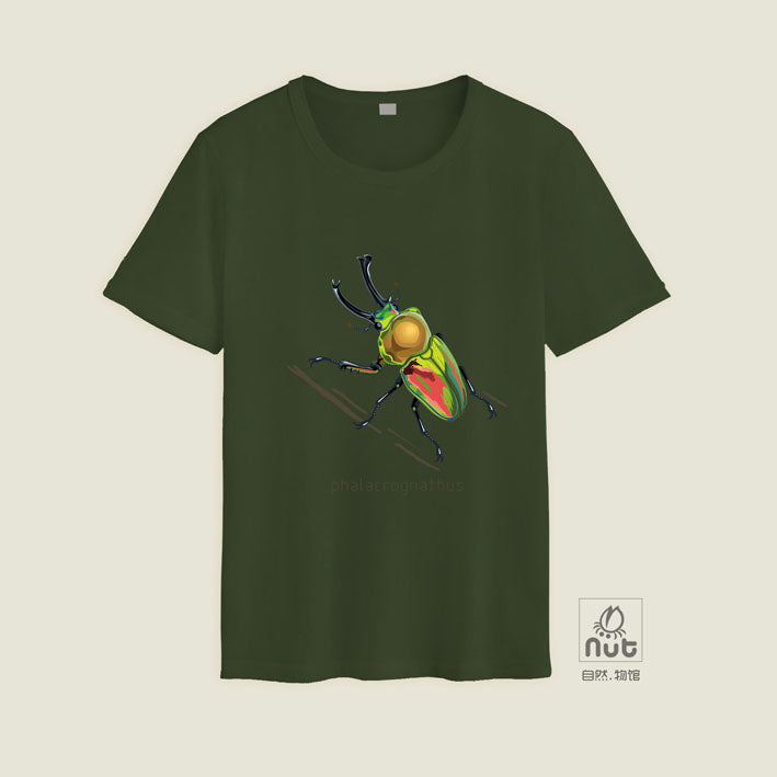 T-shirt Phalacrognathus mulleri “Rainbow beetle”