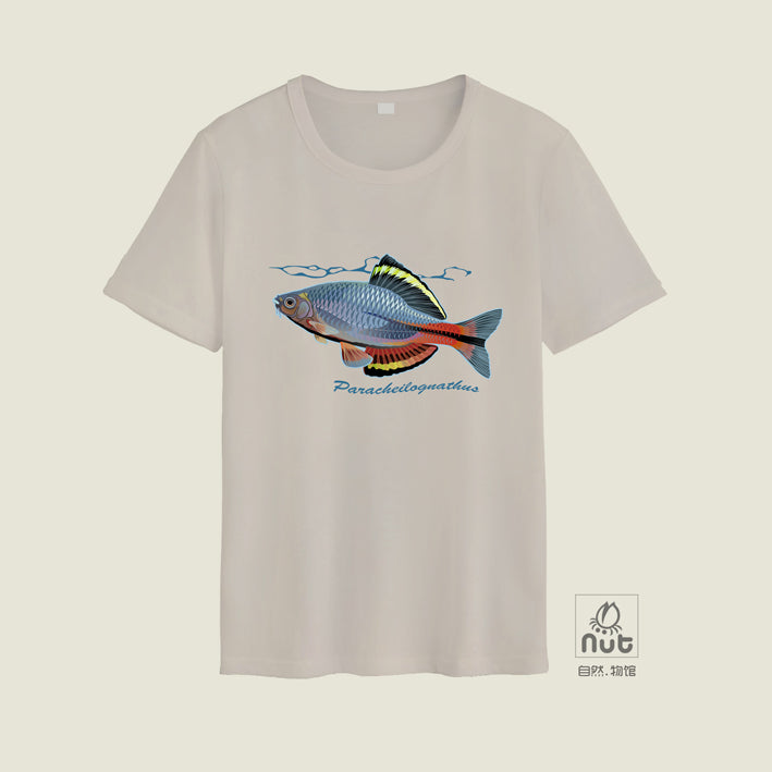 T-shirt Paracheilognathus 