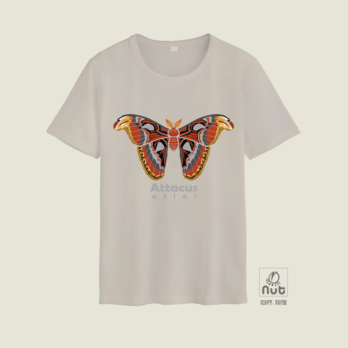 T-shirt Attacus atlas
