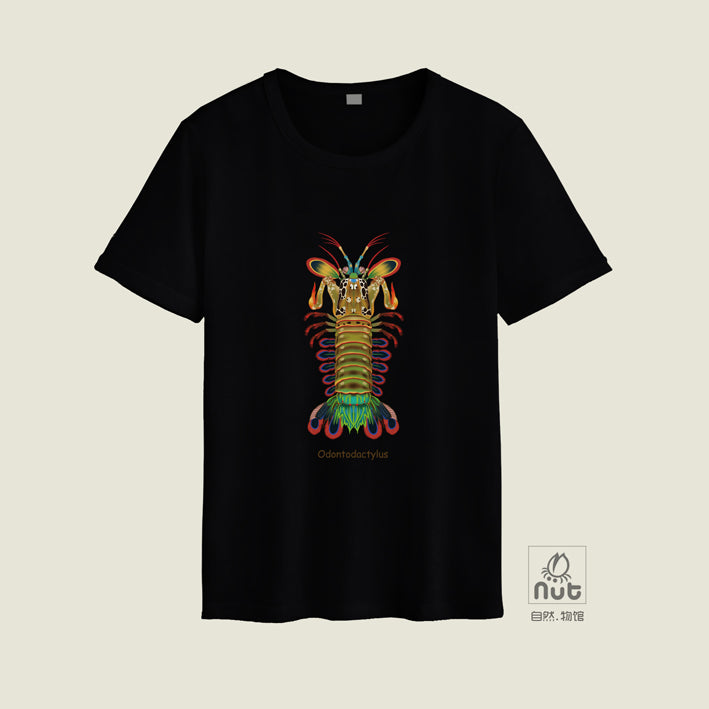 T-shirt Odontodactylus