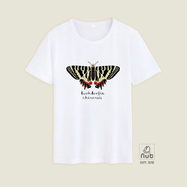 T-shirt Luehdorfia chinensis