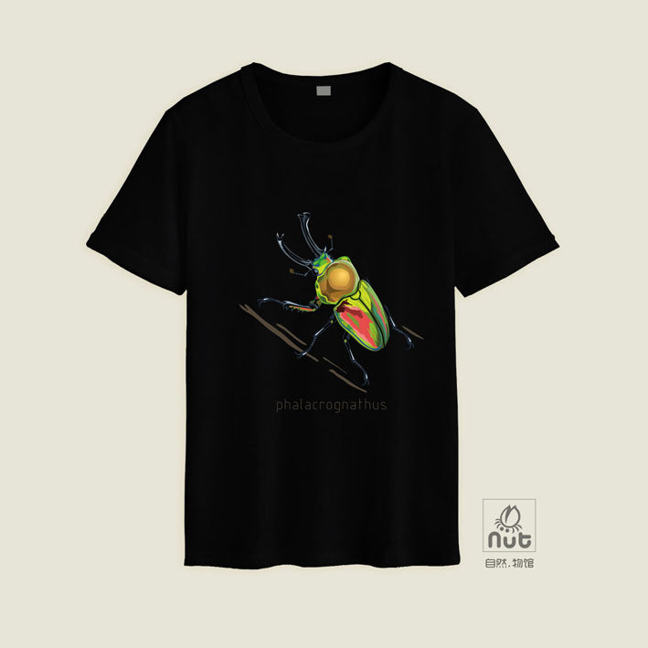 T-shirt Phalacrognathus mulleri “Rainbow beetle”