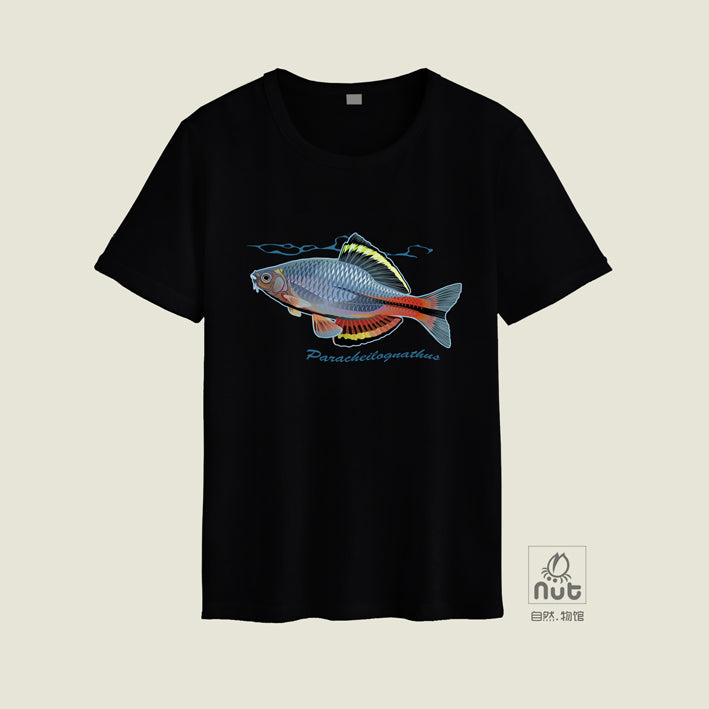 T-shirt Paracheilognathus 