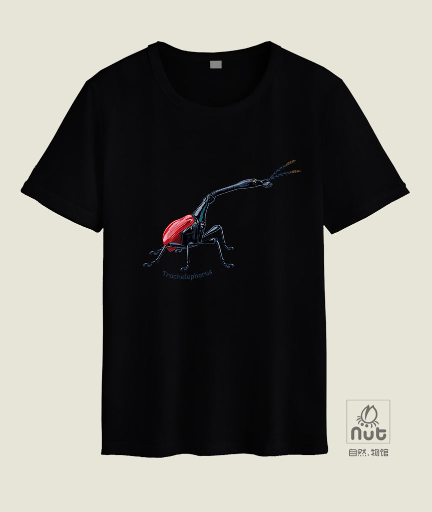 T-shirt Trachelophorus