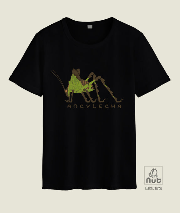 T-shirt Ancylecha