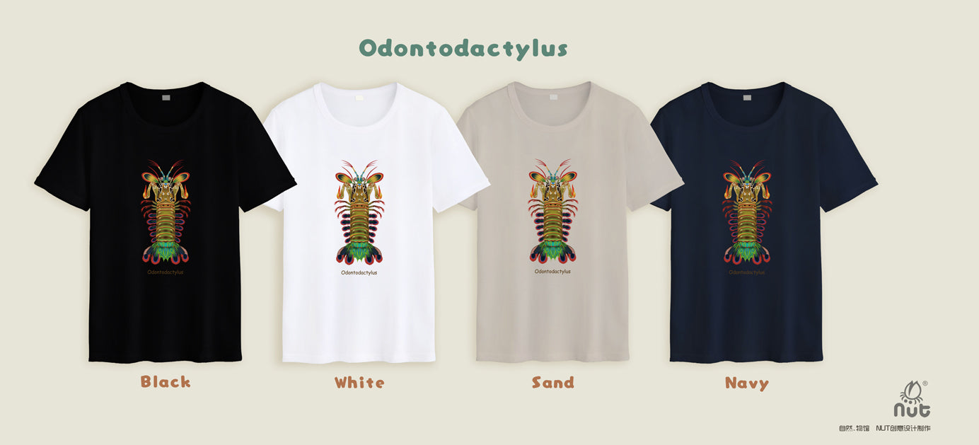T-shirt Odontodactylus
