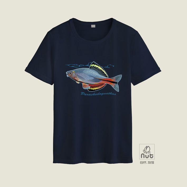 T-shirt Paracheilognathus 