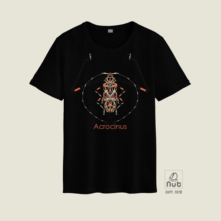 T-shirt Acrocinus