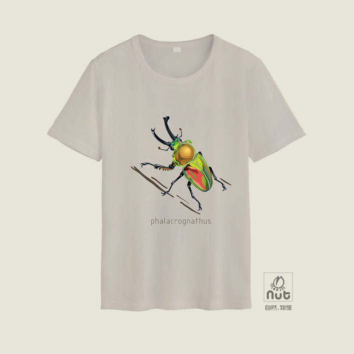 T-shirt Phalacrognathus mulleri “Rainbow beetle”