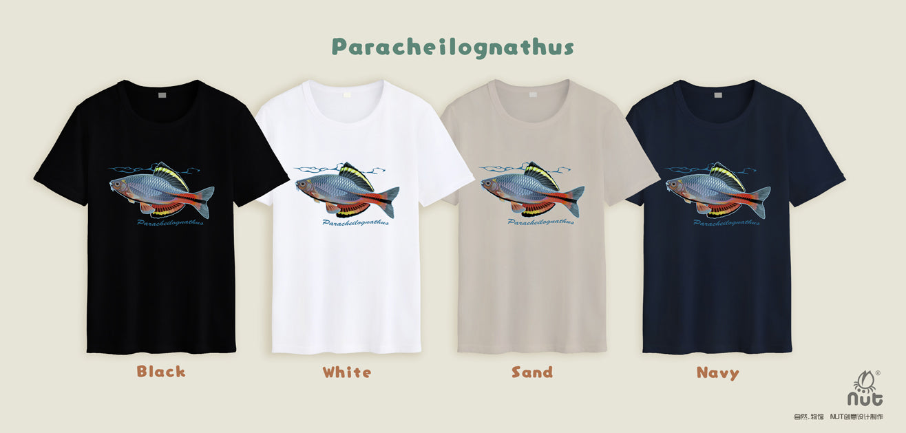 T-shirt Paracheilognathus 