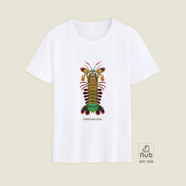 T-shirt Odontodactylus