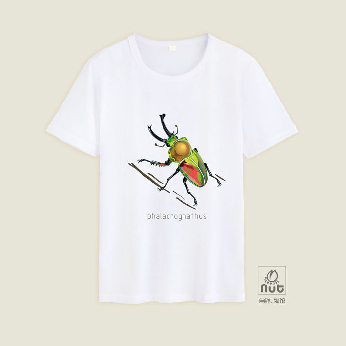 T-shirt Phalacrognathus mulleri “Rainbow beetle”