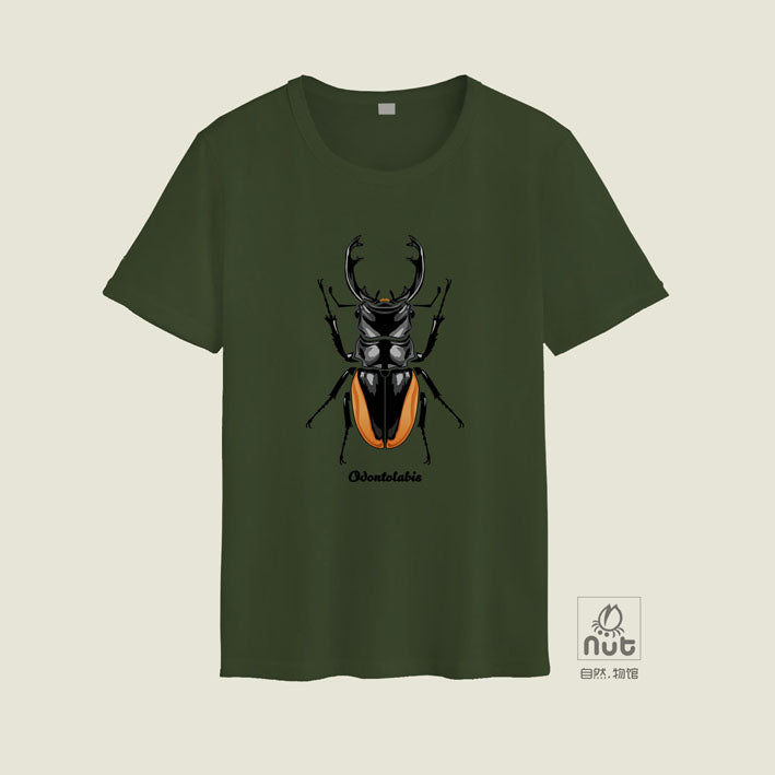 T-shirt Odontolabis