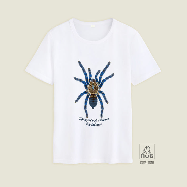T-shirt Haplopelma lividum