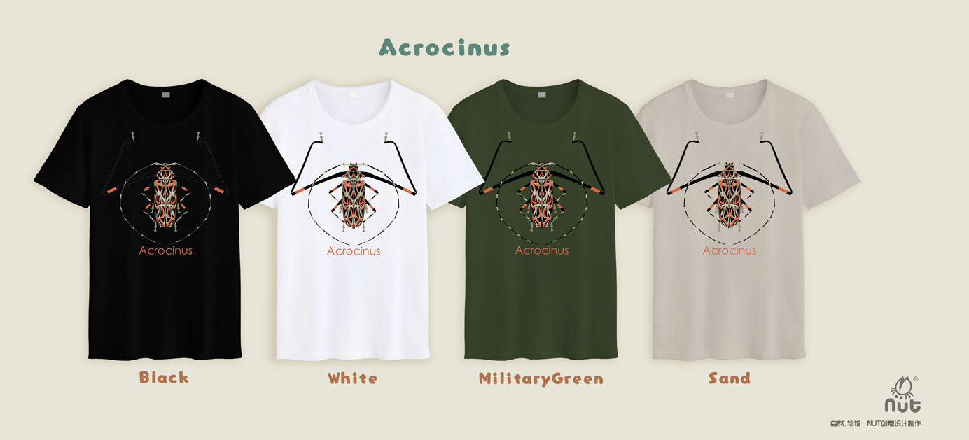 T-shirt Acrocinus