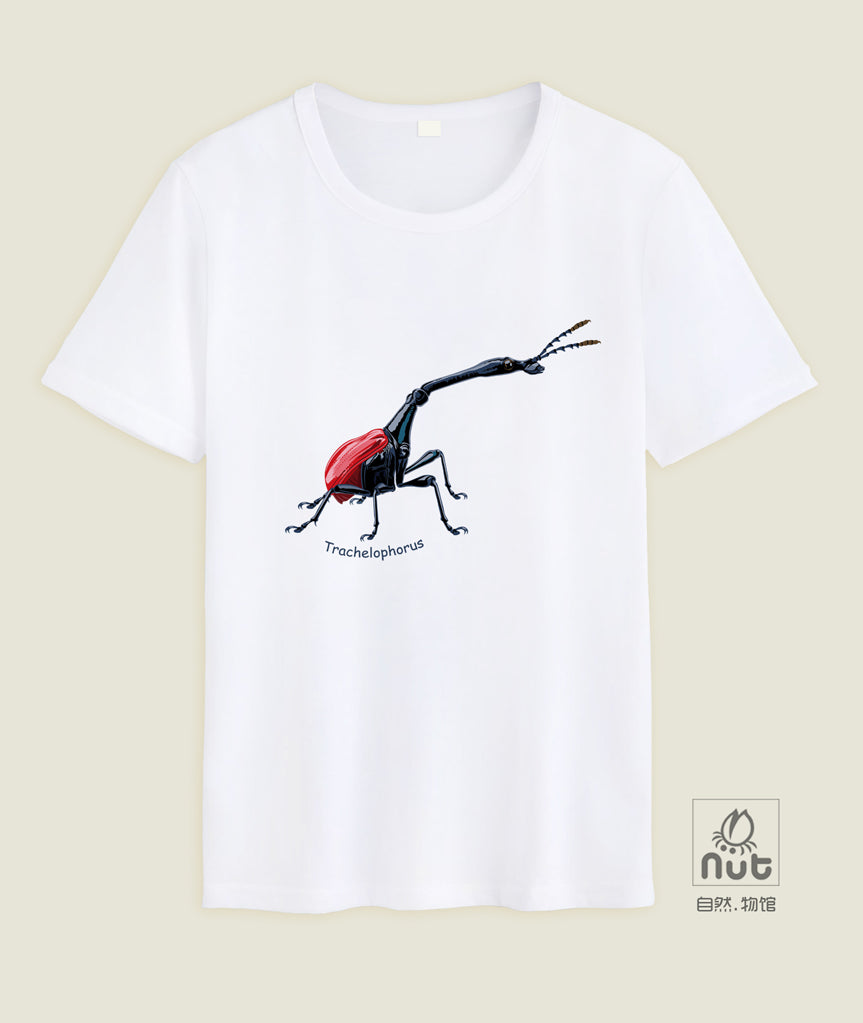 T-shirt Trachelophorus