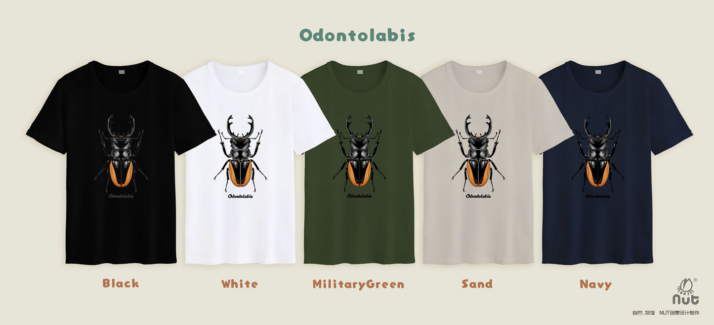 T-shirt Odontolabis