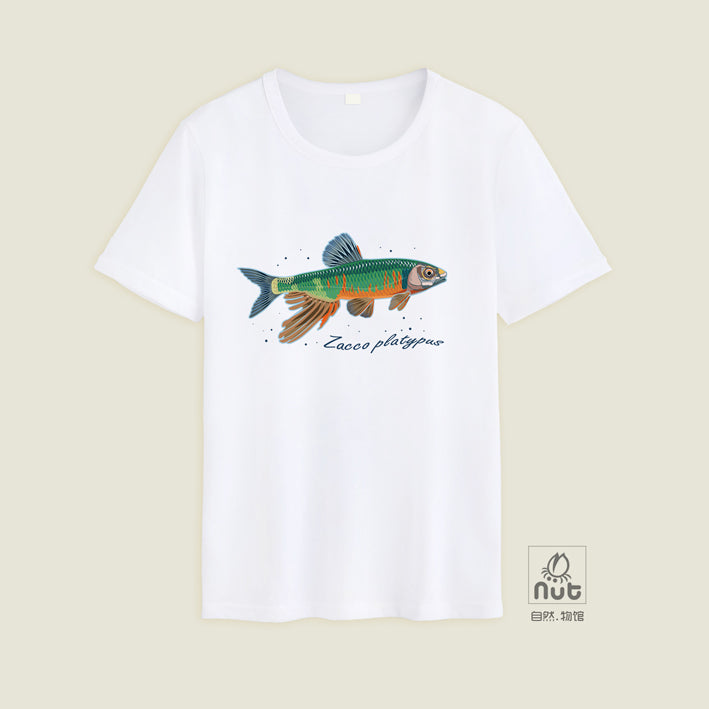 T-shirt Zacco platypus