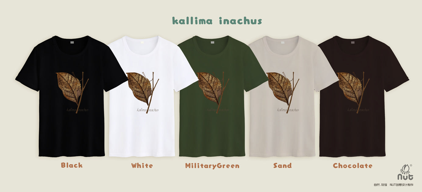 T-shirt Kallima inachus