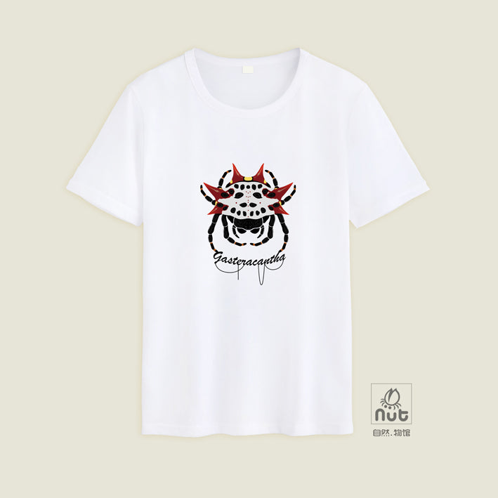 T-shirt Gasteracantha cancriformis