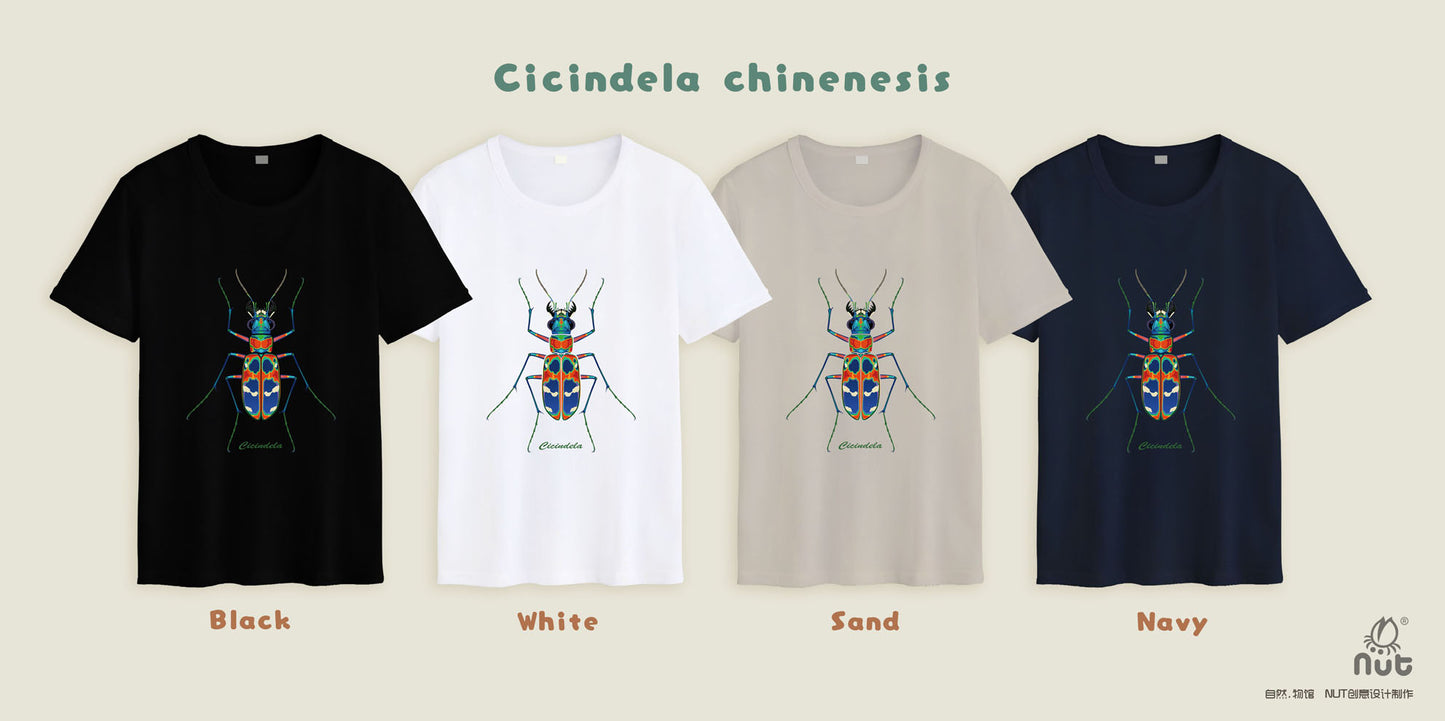 T-shirt Cicindela chinenesis