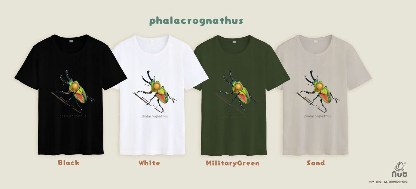 T-shirt Phalacrognathus mulleri “Rainbow beetle”