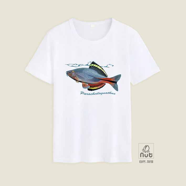 T-shirt Paracheilognathus 