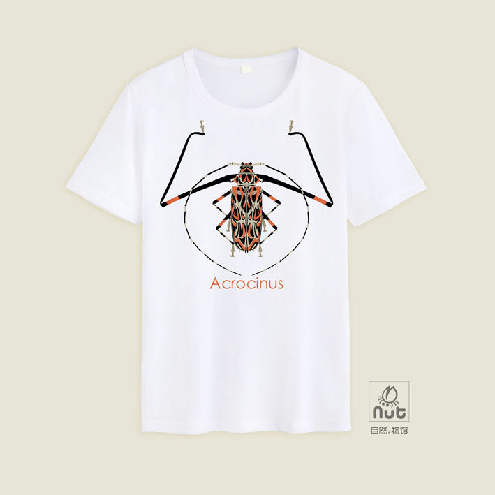 T-shirt Acrocinus