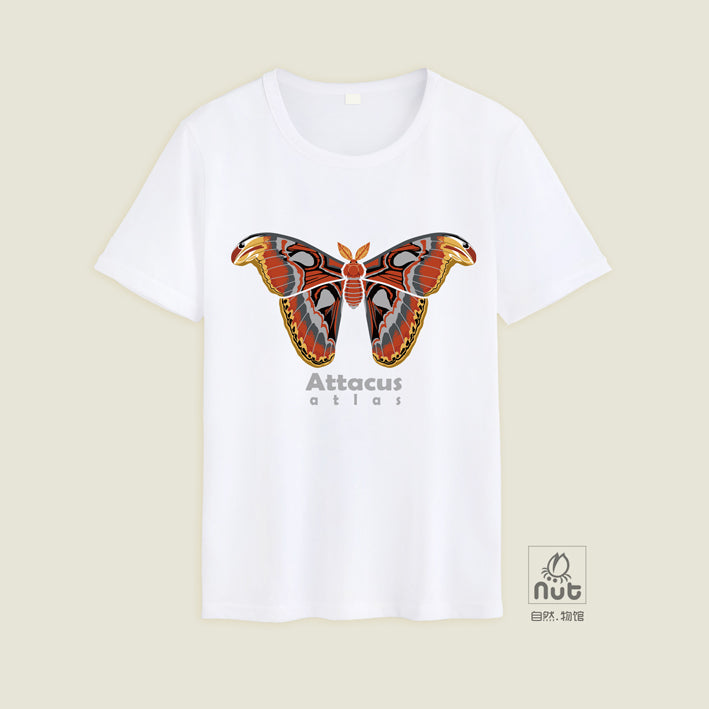 T-shirt Attacus atlas