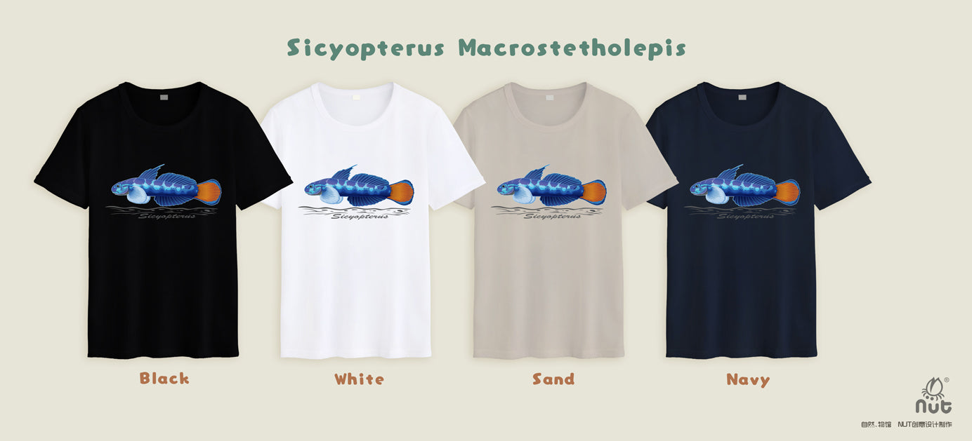 T-shirt Sicyopterus Macrostetholepis