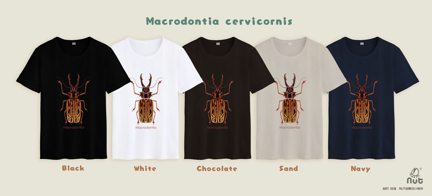 T-shirt Macrodontia cervicornis “Long-toothed Longhorn”