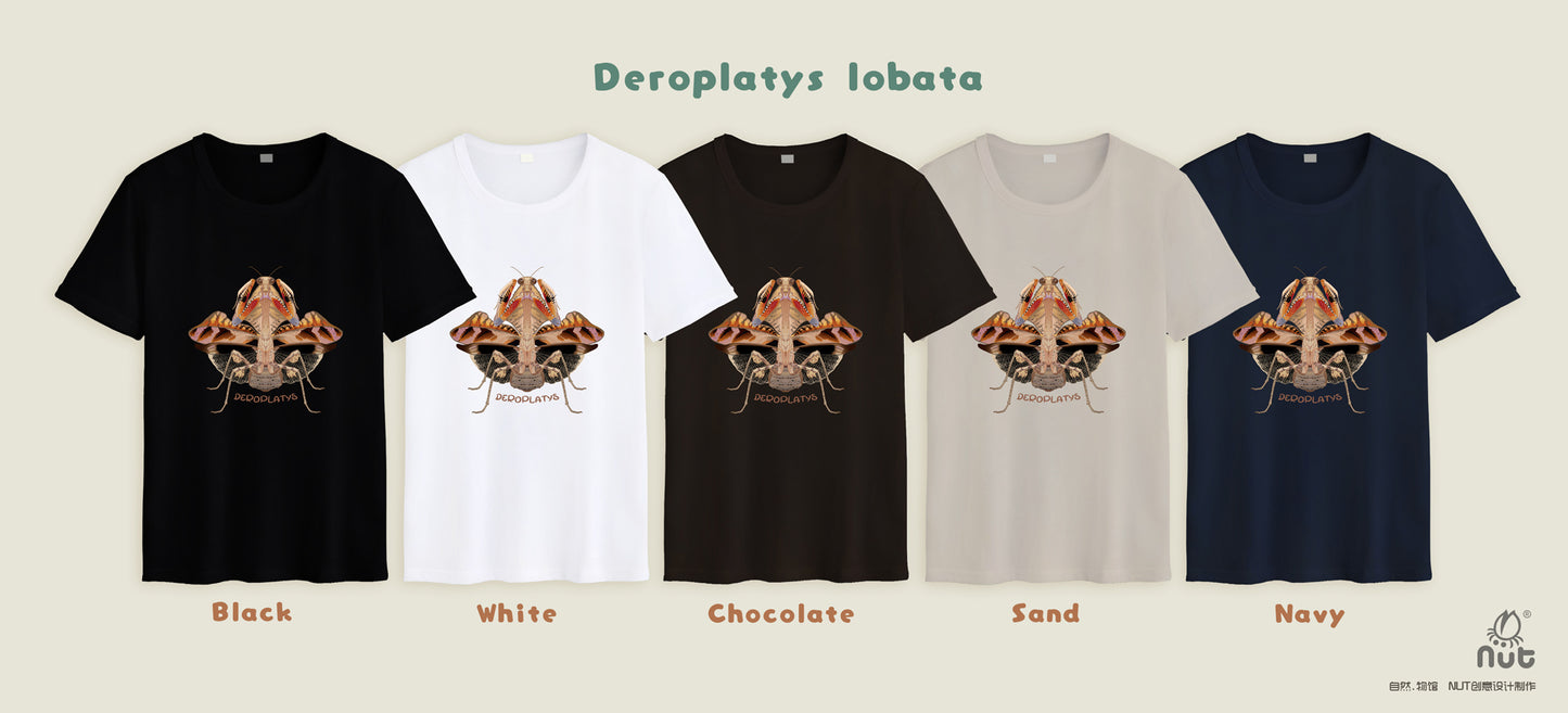 T-shirt Deroplatys lobata