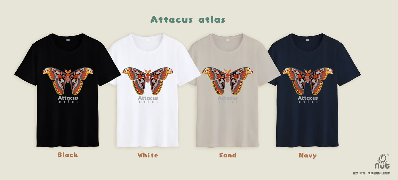 T-shirt Attacus atlas