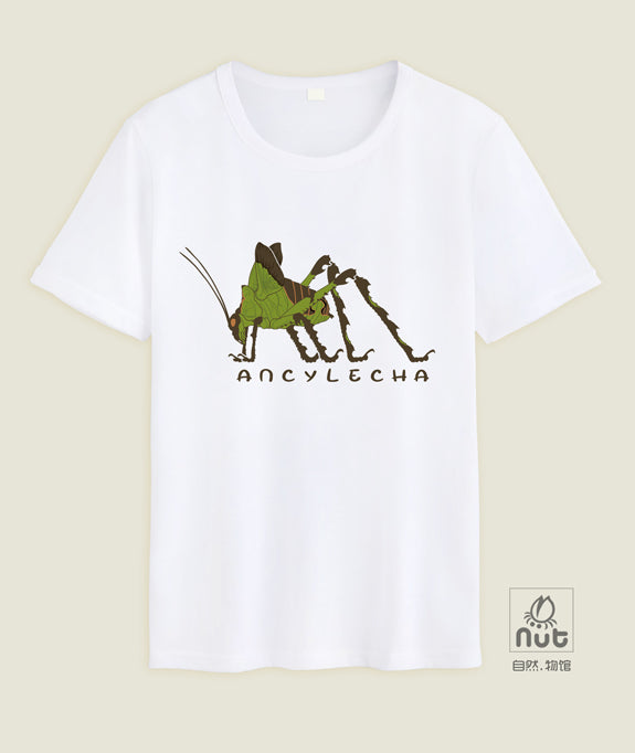 T-shirt Ancylecha