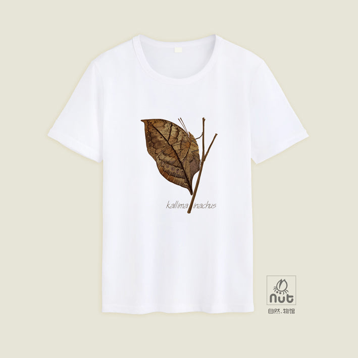 T-shirt Kallima inachus