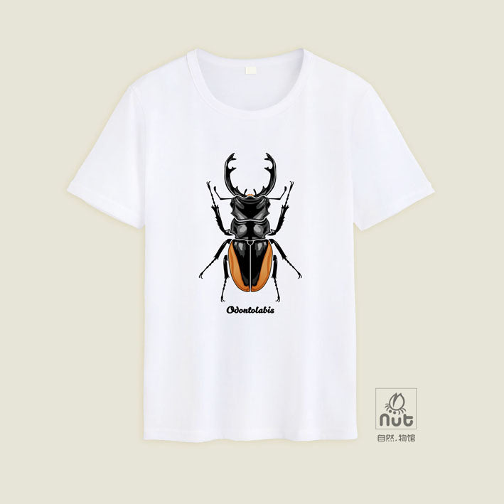T-shirt Odontolabis