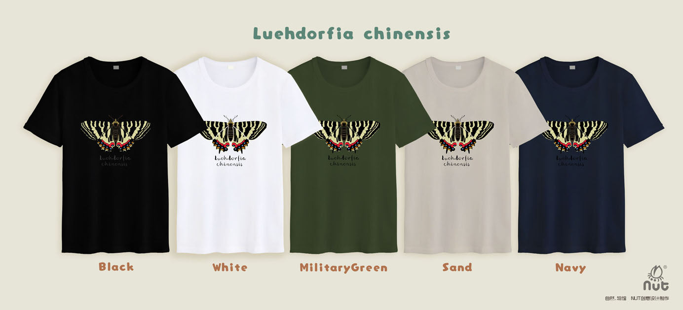 T-shirt Luehdorfia chinensis